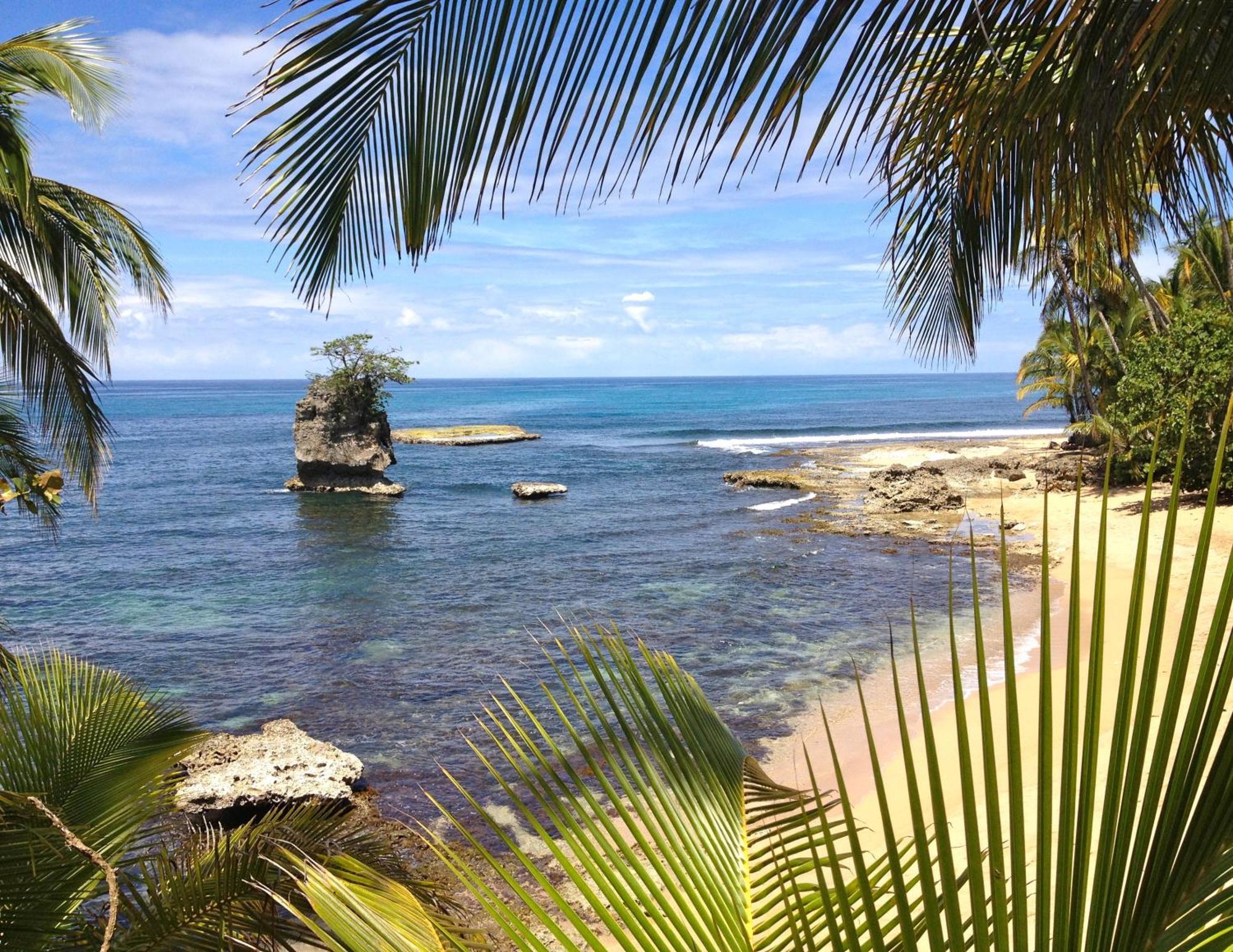 Physis Caribbean Bed & Breakfast Puerto Viejo de Talamanca Экстерьер фото