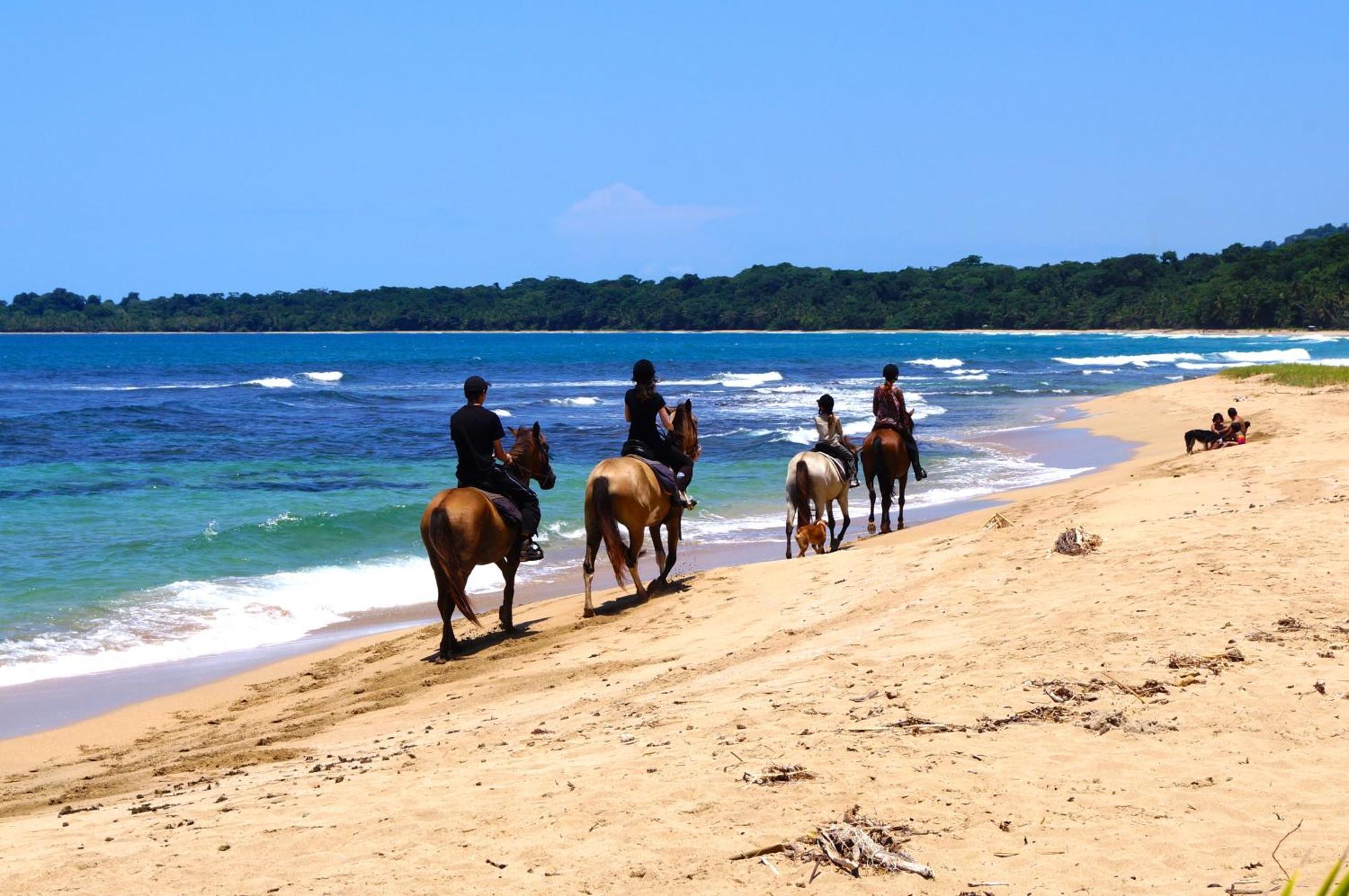Physis Caribbean Bed & Breakfast Puerto Viejo de Talamanca Экстерьер фото