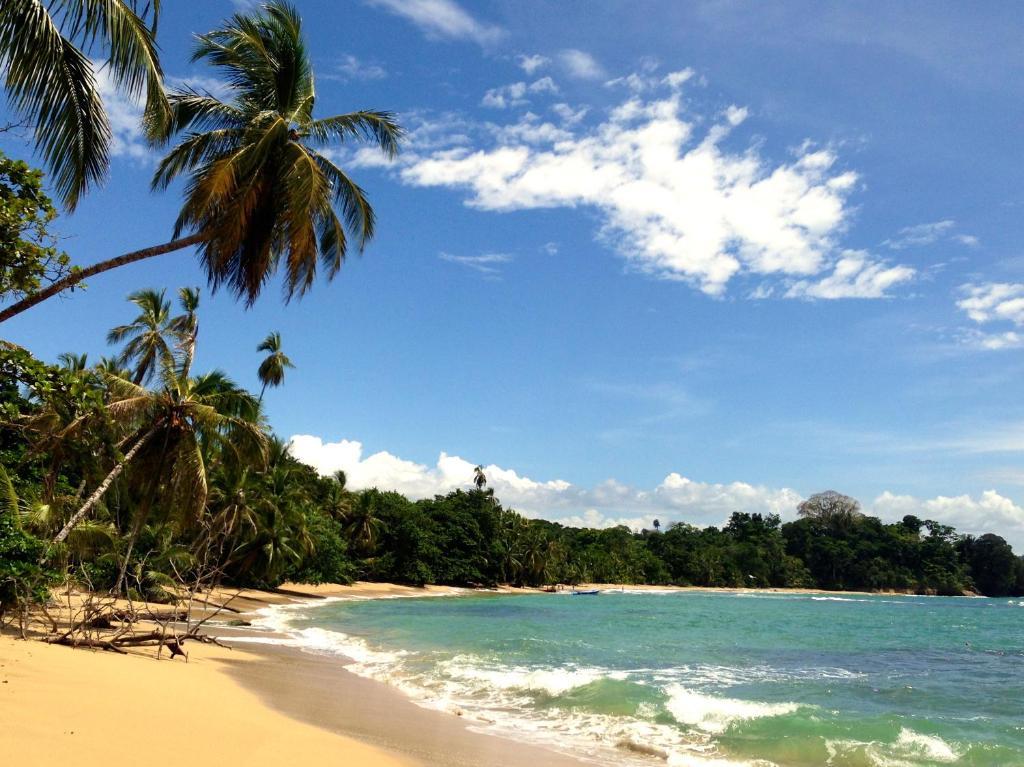 Physis Caribbean Bed & Breakfast Puerto Viejo de Talamanca Экстерьер фото