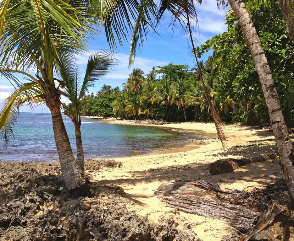 Physis Caribbean Bed & Breakfast Puerto Viejo de Talamanca Экстерьер фото