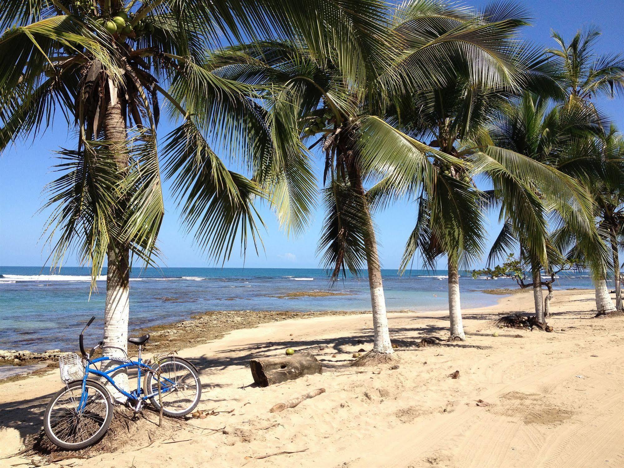 Physis Caribbean Bed & Breakfast Puerto Viejo de Talamanca Экстерьер фото