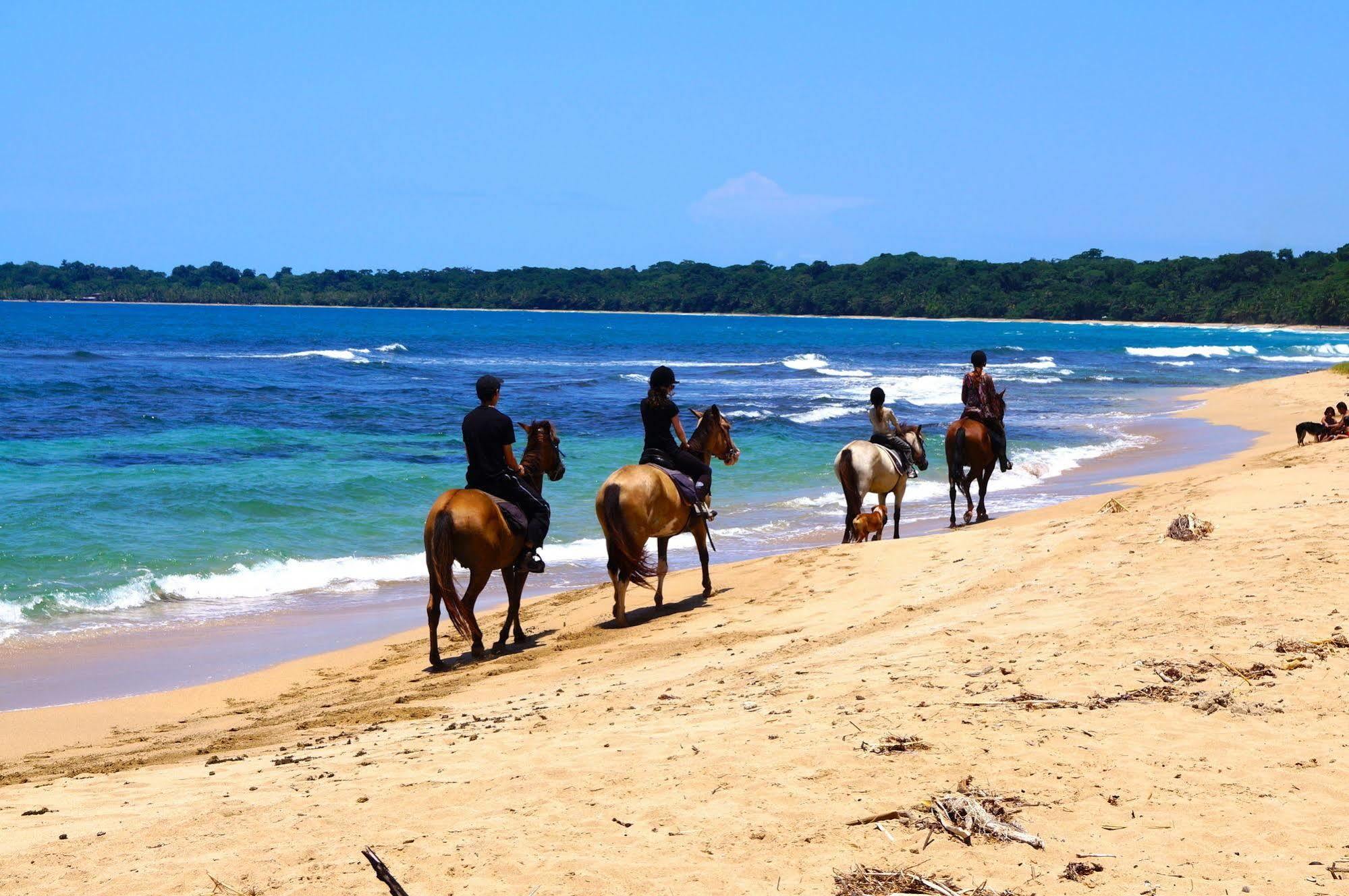Physis Caribbean Bed & Breakfast Puerto Viejo de Talamanca Экстерьер фото