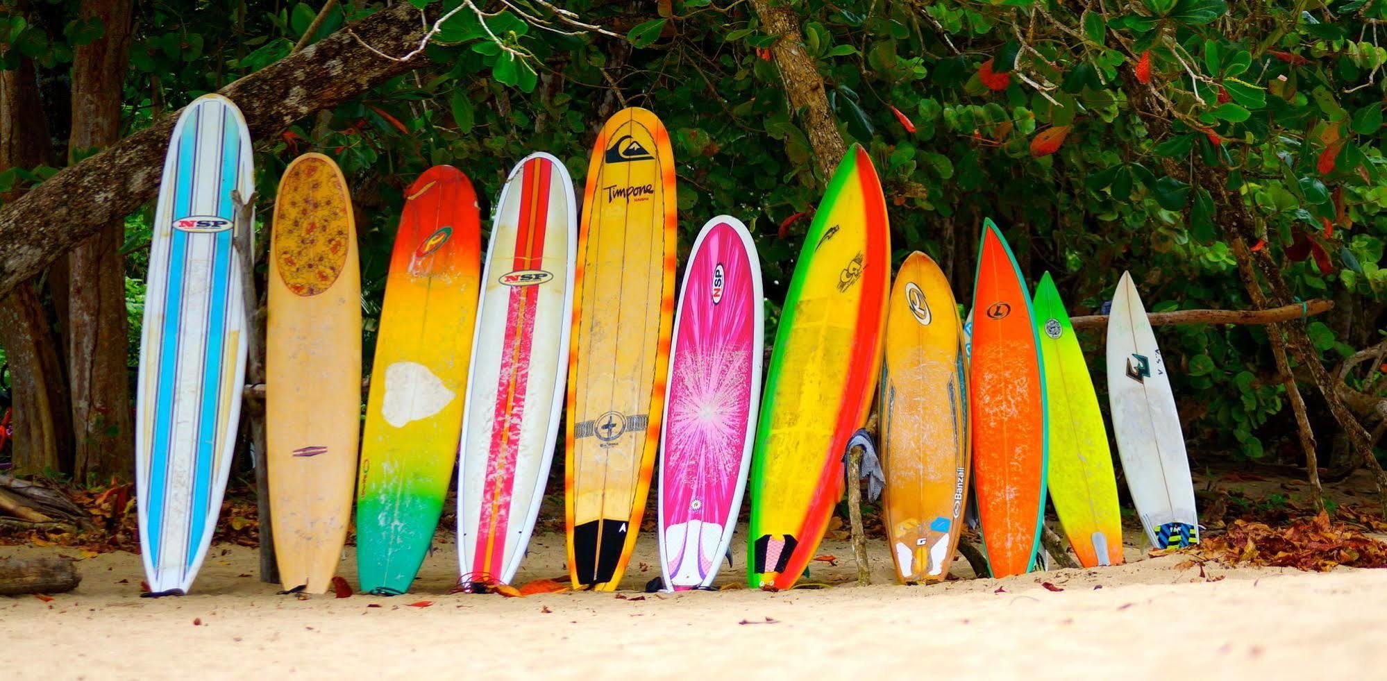 Physis Caribbean Bed & Breakfast Puerto Viejo de Talamanca Экстерьер фото
